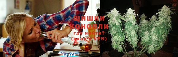 прущие грибы Белоозёрский