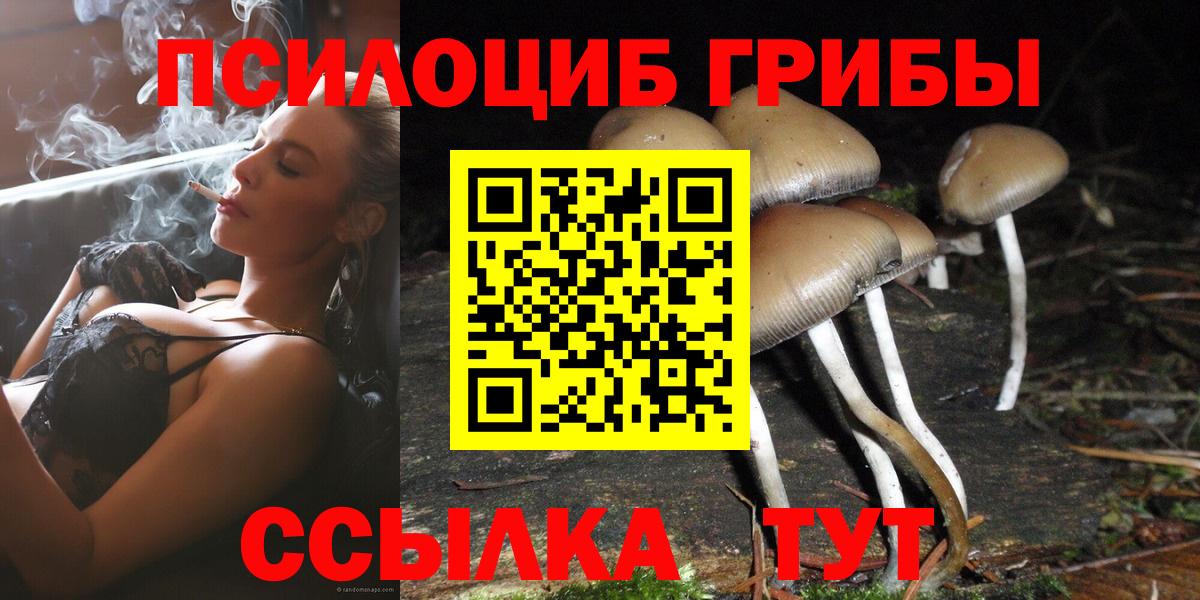 Кунгур  Псилоцибиновые грибы мухоморы  Вход с VPN  Псилоцибиновые грибы MAGIC MUSHROOMS 